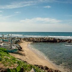 Południowe wybrzeże Sri Lanki