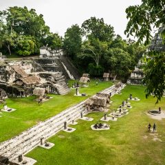 Tikal: piramidy, wyjce i ostronosy